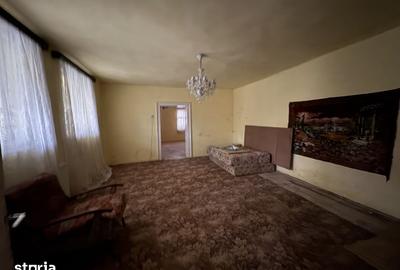 Casă cu 4 camere cu Teren 3767 Mp în Borș - 7