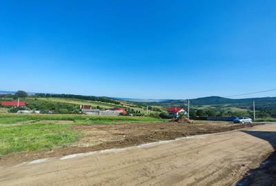 Teren de 1000 mp, în Tomești - 3