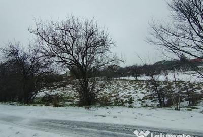 Teren de 640 mp, în Mischii - 3