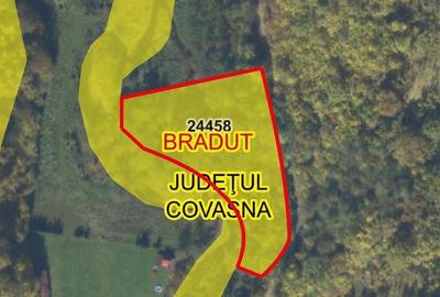Teren de 5600 mp, în Brăduț - 2