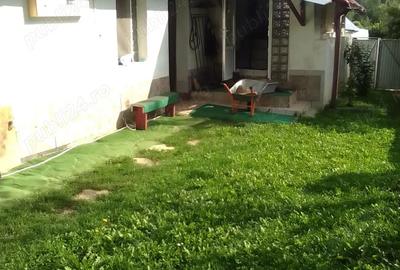 Vand casa la tara in zona Fagaras - 4