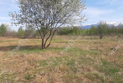 Teren intravilan 2700 mp pe Valea Avrigului localitate Avrig - 12