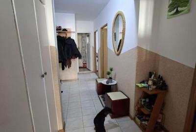 Apartament cu 3 camere în Traian - 8