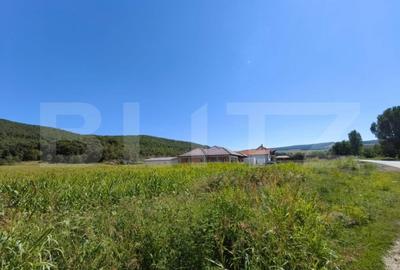Teren de 4900 mp, în Hăpria - 2