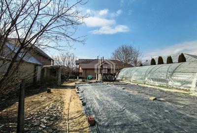 Casă cu Teren 1270 Mp în Transilvaniei