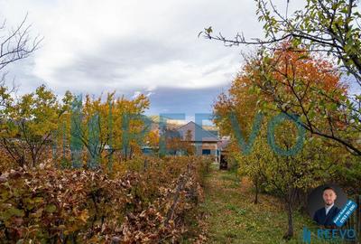 Casa de vanzare, strada Paun Pincio nr. 5, Moine?ti - 3