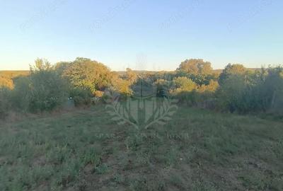 Teren de 3017 mp, în Plopu - 9