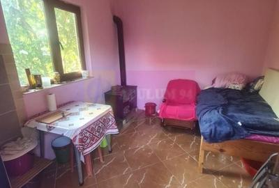 Vila de vanzare in Brebu  - Zona Brebu Megiesesc - 31