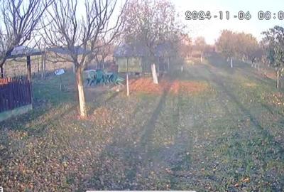 Teren de 10000 mp, în Pișchia - 6