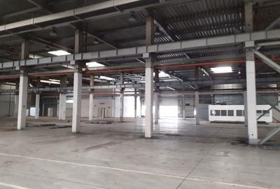 Spațiu comercial, de 2,920 mp, în Timișoara - 3