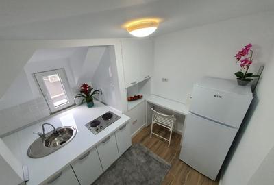 Garsonieră Parcul Carol / Unirii / Palatul Parlamentului - 6