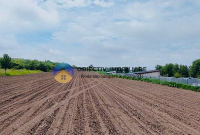 Teren- Com. Stefan cel Mare- jud. Neamt - 6