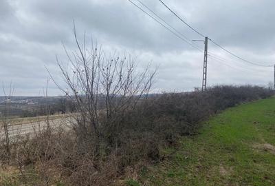 Comision 0%! Panorama superba, intravilan, 7631mp, front stradal 87m - 6