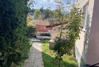 Cabana cu 4 dormitoare, foisor, ciubar, Statiunea Muntele Ba - 7