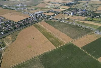 Tern intrevilan 4003 mp - 5