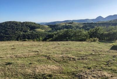 Spațiu comercial, în Râmeț - 13