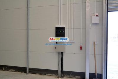 Vanzare hala 400 mp+teren 1500 mp Tunari - 8