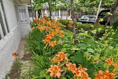 Casa de vanzare cu teren - 1