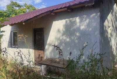 Vand teren generos 1700 mp cu casa in constructie in Smirna, Ialomita - 4