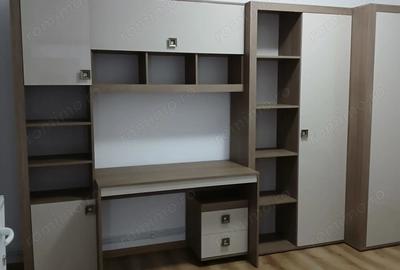 Vand, schimb casa in Ineu, jude?ul Arad - 6