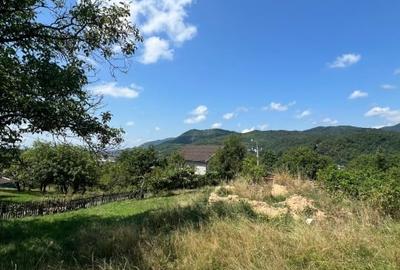 Teren intravilan in zona linistita de 13 ari