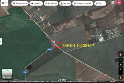 FRUMUSANI-BUDESTI 10000 MP DIRECT DN4 - 1