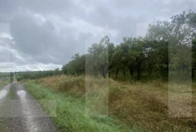 Teren de 5150 mp, în Simeria - 1