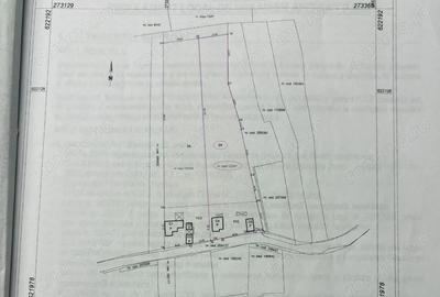 Teren de 3900 mp, în Podgoria