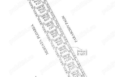 Domnesti Teghes - teren de vanzare parcelat - 10.000mp cu deschidere la padure Domnesti Teghes - teren de vanzare parcelat - 10.000mp cu deschidere la padure - 3