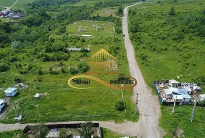 Teren pentru constructie hala indrustriala - Moinesti/Bacau - 5