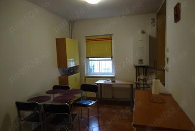 Apartament de 2 camere, loc de parcare, Tineretului - 8