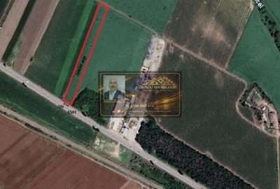 Teren de 5000 mp, în Tecuci