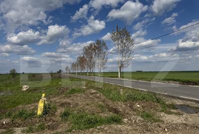 Teren intravilan, 1308 mp, Pielesti zona Peugeot - 2