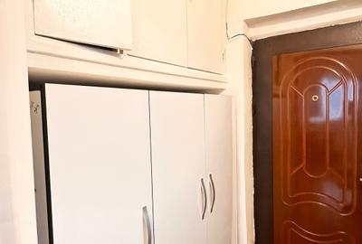 Garsoniera Dristor - metrou, stradal, mobilata si utilata complet, renovata - 21