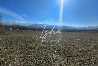 Teren agricol extravilan de 2800 mp, în Periferie - 4