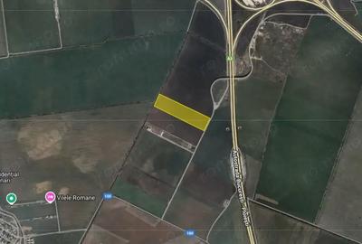 Teren de 24900 mp, în Ștefăneștii de Jos - 3