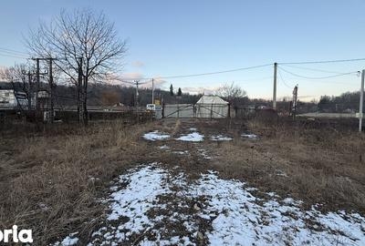 Teren de 10834 mp, în Dumbrăvești - 15