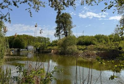 Teren agricol intravilan de 10000 mp, în Snagov - 1