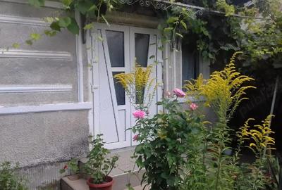 Casă cu 3 camere cu Teren 850 Mp în Central - 3