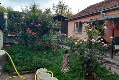 Casă cu 2 camere cu Teren 1134 Mp în Central - 2