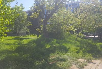 Teren intravilan 719 m.p Timisoara, Bv. Take Ionescu 59 - 4