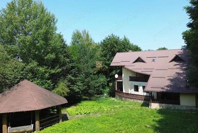 Casă cu 6 camere cu Teren 5200 Mp în Sucevița - 9