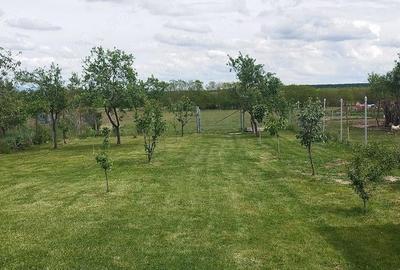 Casă cu 4 camere cu Teren 3500 Mp în Sâi - 3