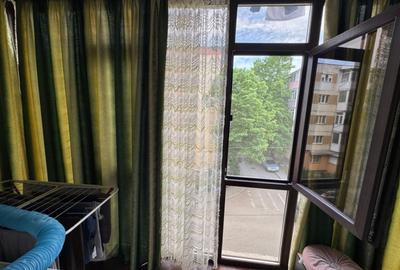 Apartament cu 2 camere semidecomandat în Craiovița Nouă - 2