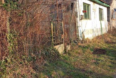 Vand casa in Sasca-Montana - 1