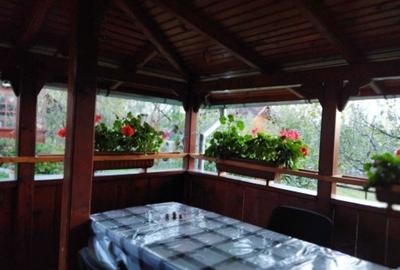 Casă cu 3 camere în Cărbunari - 3