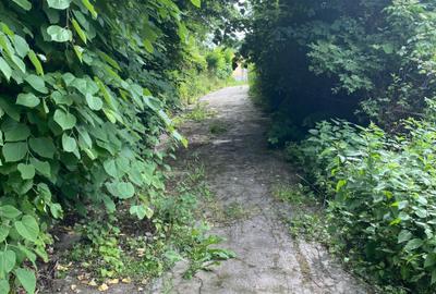 Spațiu comercial, în Triaj - 6
