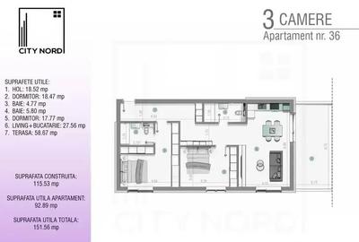PENTHOUSE spectaculos cu terasa panoramica- Exclusiv i... - 10