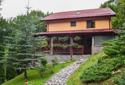 Casă individuală cu 6 camere cu Canalizare în Central - 10