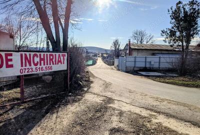 Spațiu comercial, de 250 mp, în Lețcani - 1